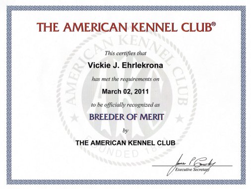 American kennel club deals breeder of merit