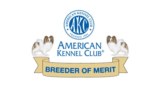 AKC Breeder Of Merit Program – American Kennel Club